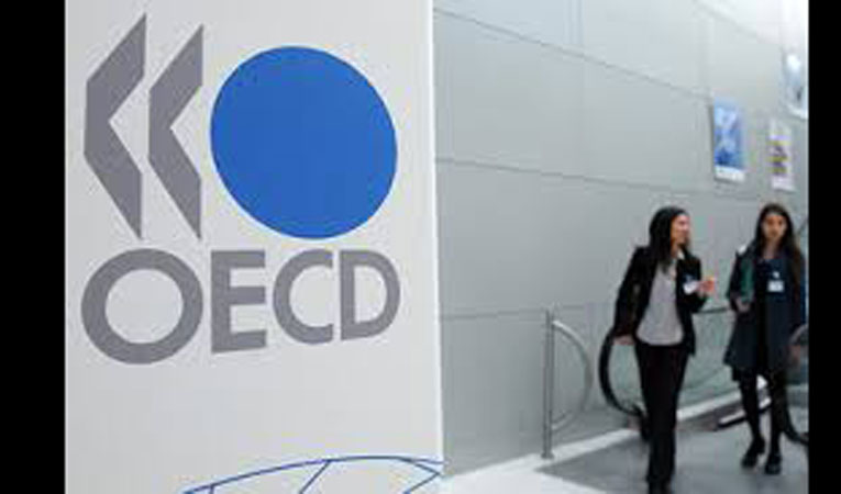 OECD'den karamsar tablo